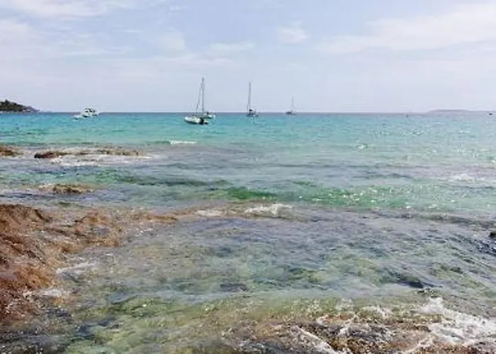 Climatise, 4 Couchages, A 2 Pas De La Au Lavandou - Fr-1-251-93 Le Lavandou