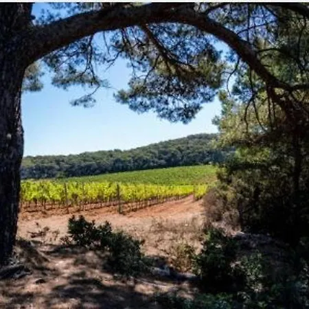 Climatise, 4 Couchages, A 2 Pas De La Au Lavandou - Fr-1-251-93 *